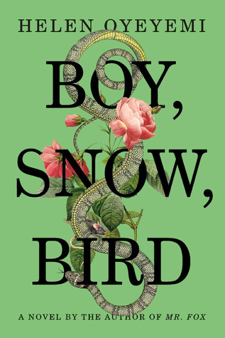 Boy Snow Bird